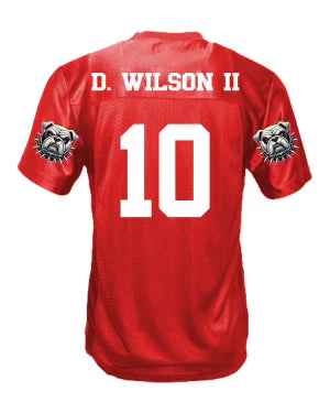 DAMON WILSON II #10 - VENICE INDIANS - JERSEY